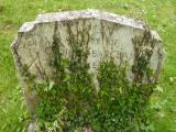 image of grave number 119386